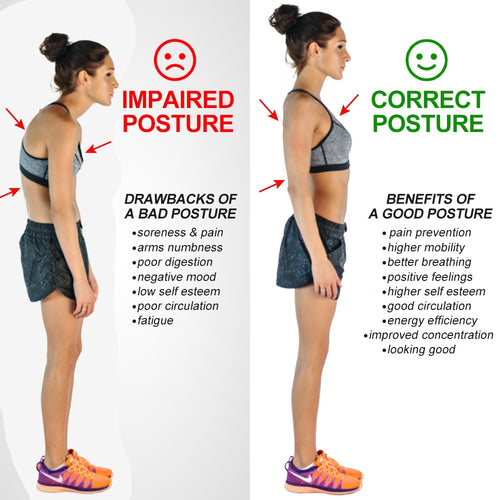 NEW #1 Posture Corrector