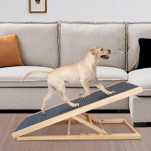 dog ramp