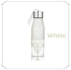 Water Bottle Plastic Fruit Infusion - TEST