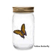 Butterfly Jar