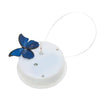 Butterfly Jar