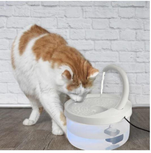 cat water - with compare