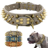 Spiked Dog Collar