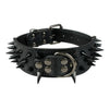 Spiked Dog Collar