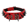 Spiked Dog Collar