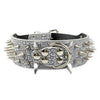 Spiked Dog Collar