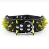 Spiked Dog Collar