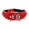 Spiked Dog Collar