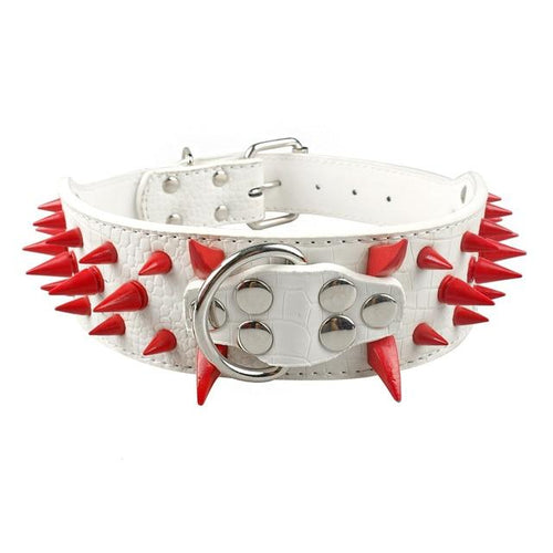 Spiked Dog Collar