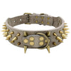 Spiked Dog Collar
