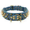 Spiked Dog Collar