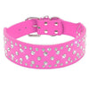 Spiked Dog Collar