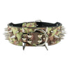 Spiked Dog Collar
