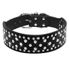 Spiked Dog Collar