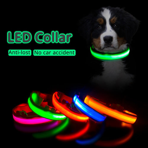 staff - USB Charging Led Dog Collar An