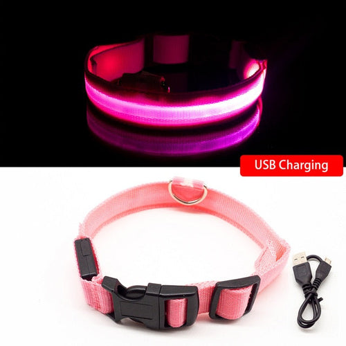 staff - USB Charging Led Dog Collar An