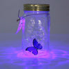 Butterfly Jar