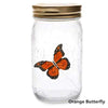 Butterfly Jar